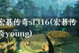 宏碁传奇sf316(宏碁传奇young)